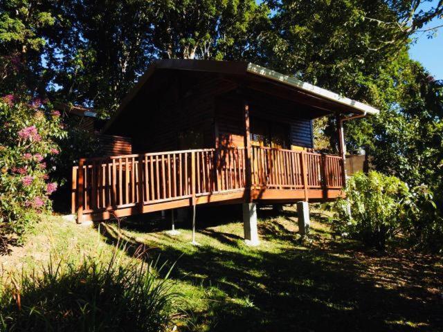 Cabanas San Gerardo San Gerardo de Dota Exterior foto